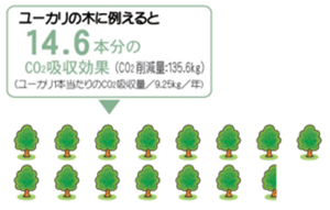 ユーカリの木に例えると14.6本分のCO2吸収効果