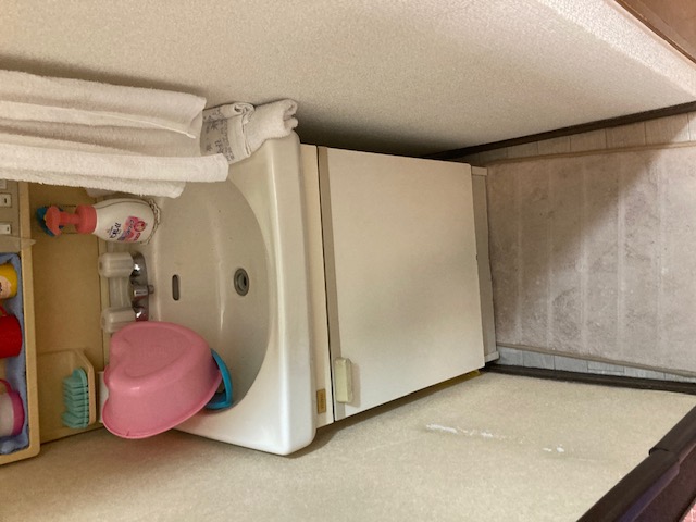 洗面化粧台Before